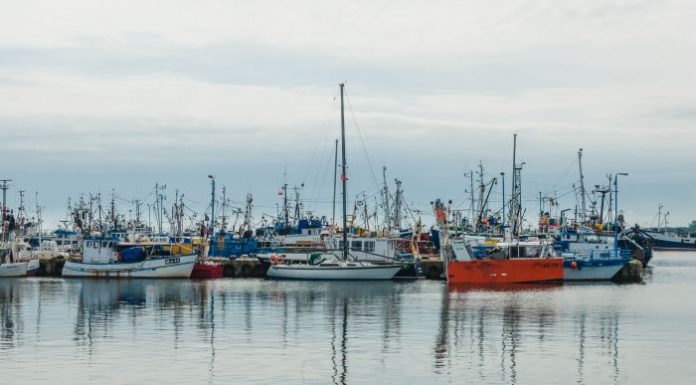 Władysławowo: nocleg blisko morza z widokiem na kutry rybackie
