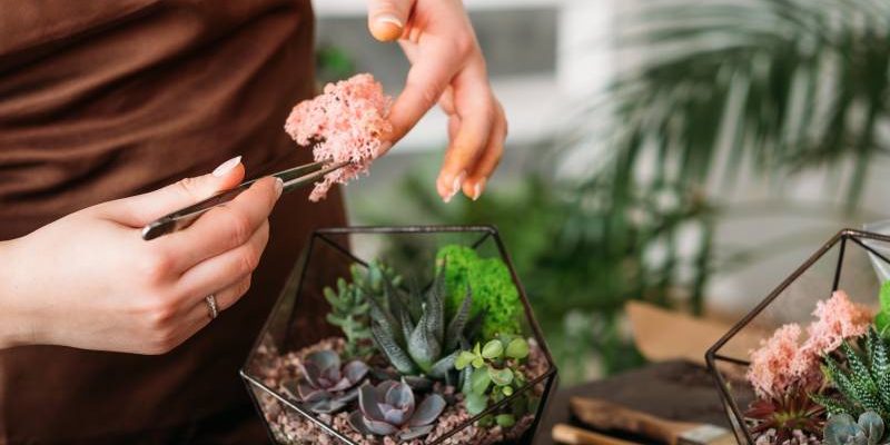Jak stworzyć własny niewielki ogródek w szklanym pojemniku