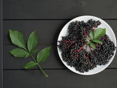 Właściwości owoców i liści czarnego bzu oraz ich zastosowanie