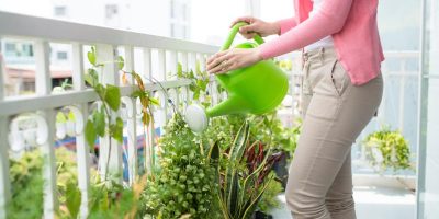 Wieloletnie rośliny w donicach na taras i balkon – jakie wybrać i jak je pielęgnować